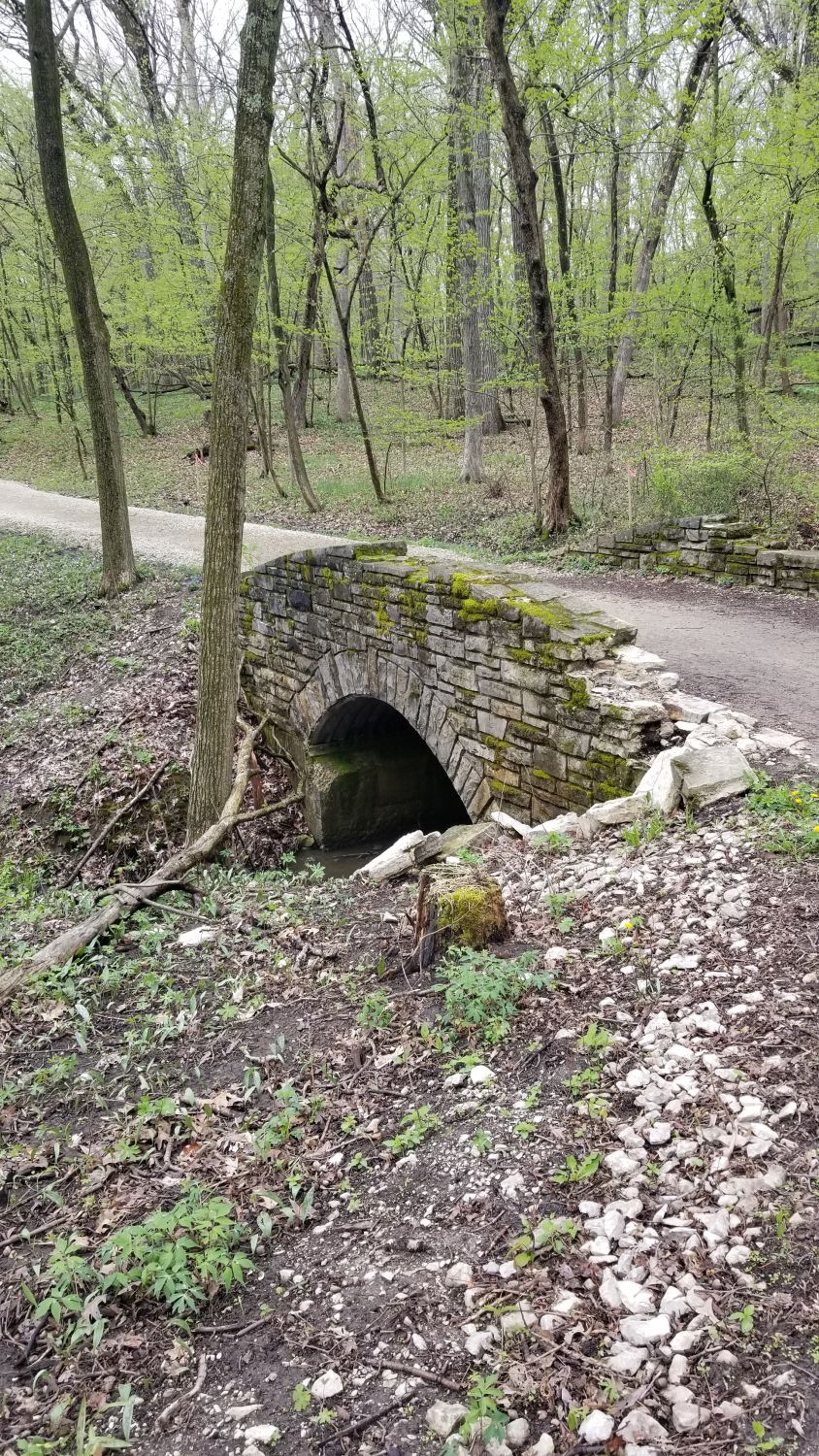 Deer Grove Forest Preserve 